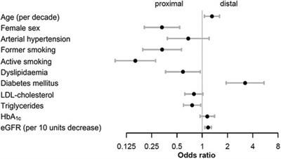 Association of sex and cardiovascular risk factors with atherosclerosis distribution pattern in lower extremity peripheral artery disease